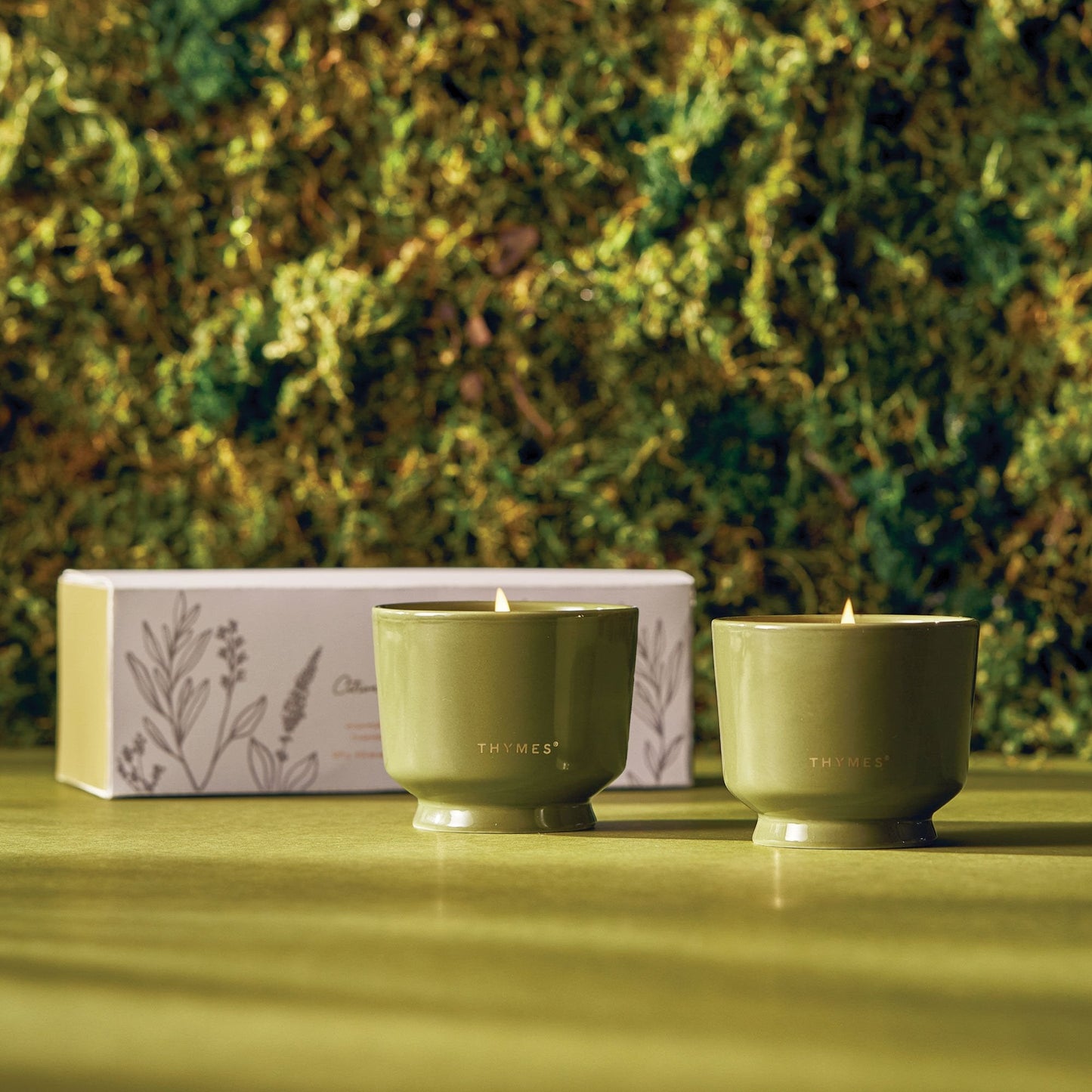 Outdoor Oasis Citronella Grove Aromatic Candle Set